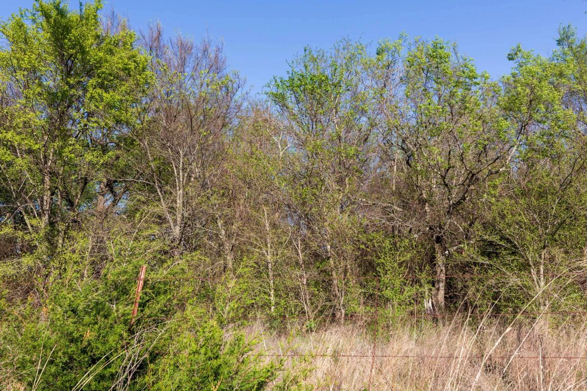 Decorative background for Prairie Grove Tract 3 image 12