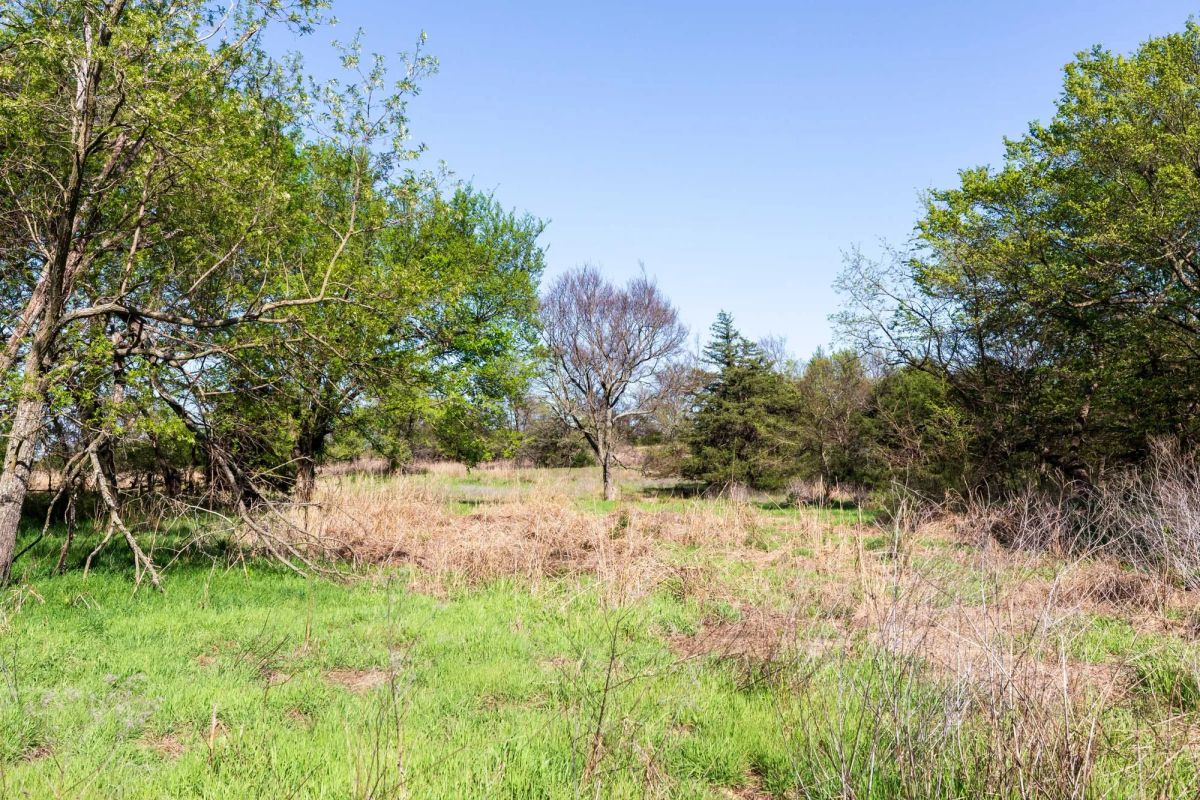 Decorative background for Prairie Grove Tract 3 image 14