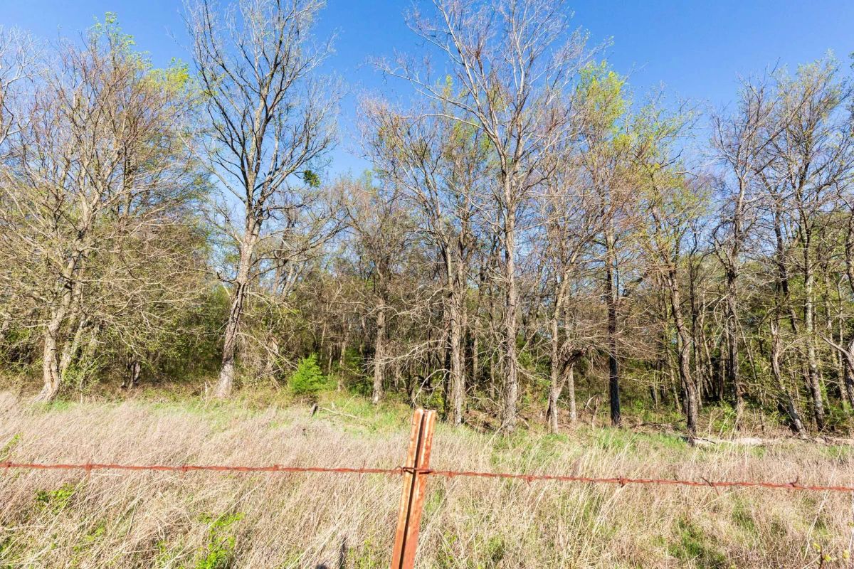 Decorative background for Prairie Grove Tract 3 image 15