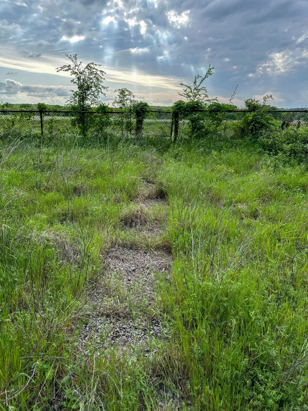Decorative background for Prairie Grove Tract 3 image 16