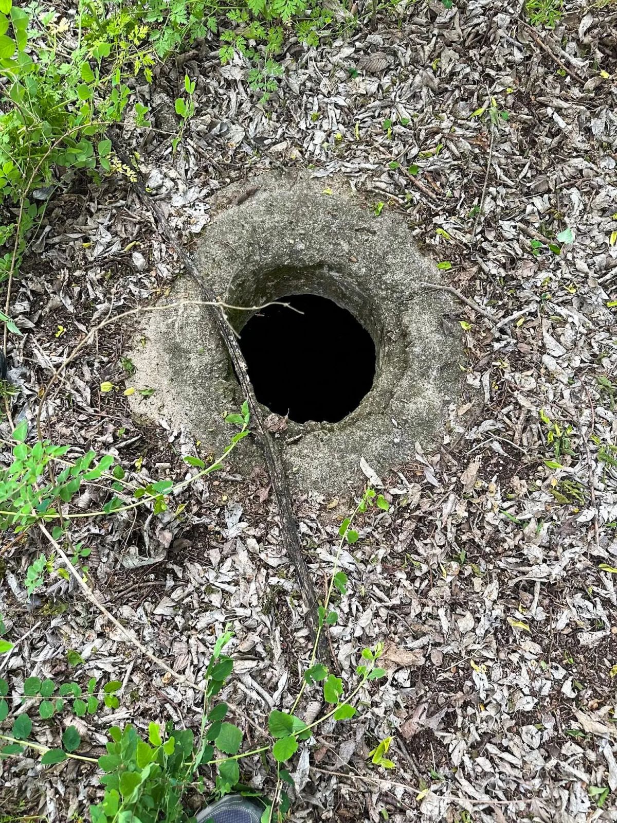 Decorative background for Prairie Grove Tract 3 image 18