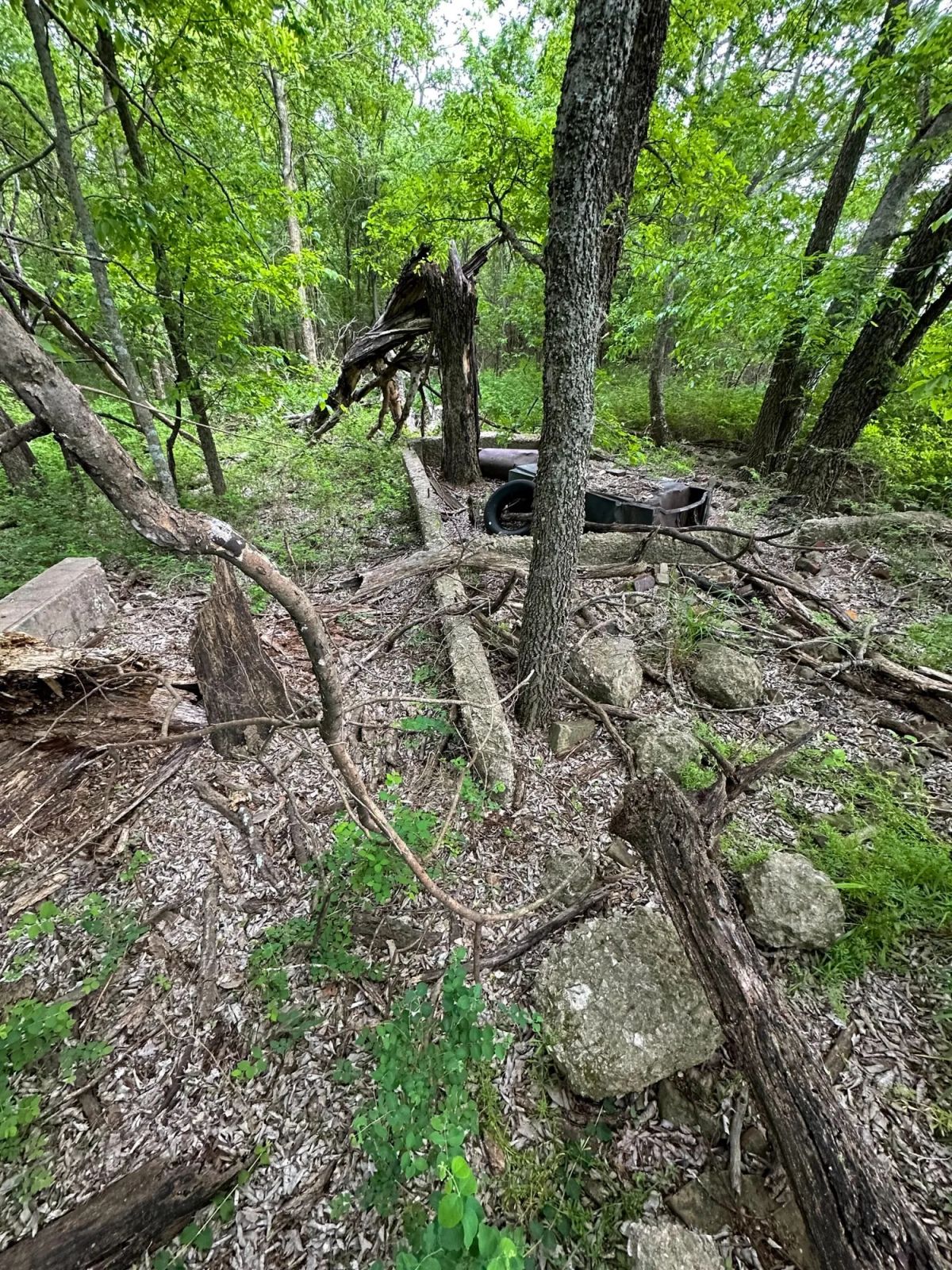 Decorative background for Prairie Grove Tract 3 image 19