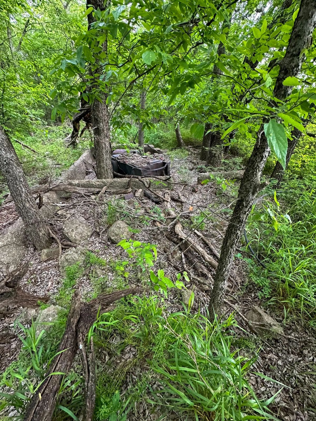 Decorative background for Prairie Grove Tract 3 image 22