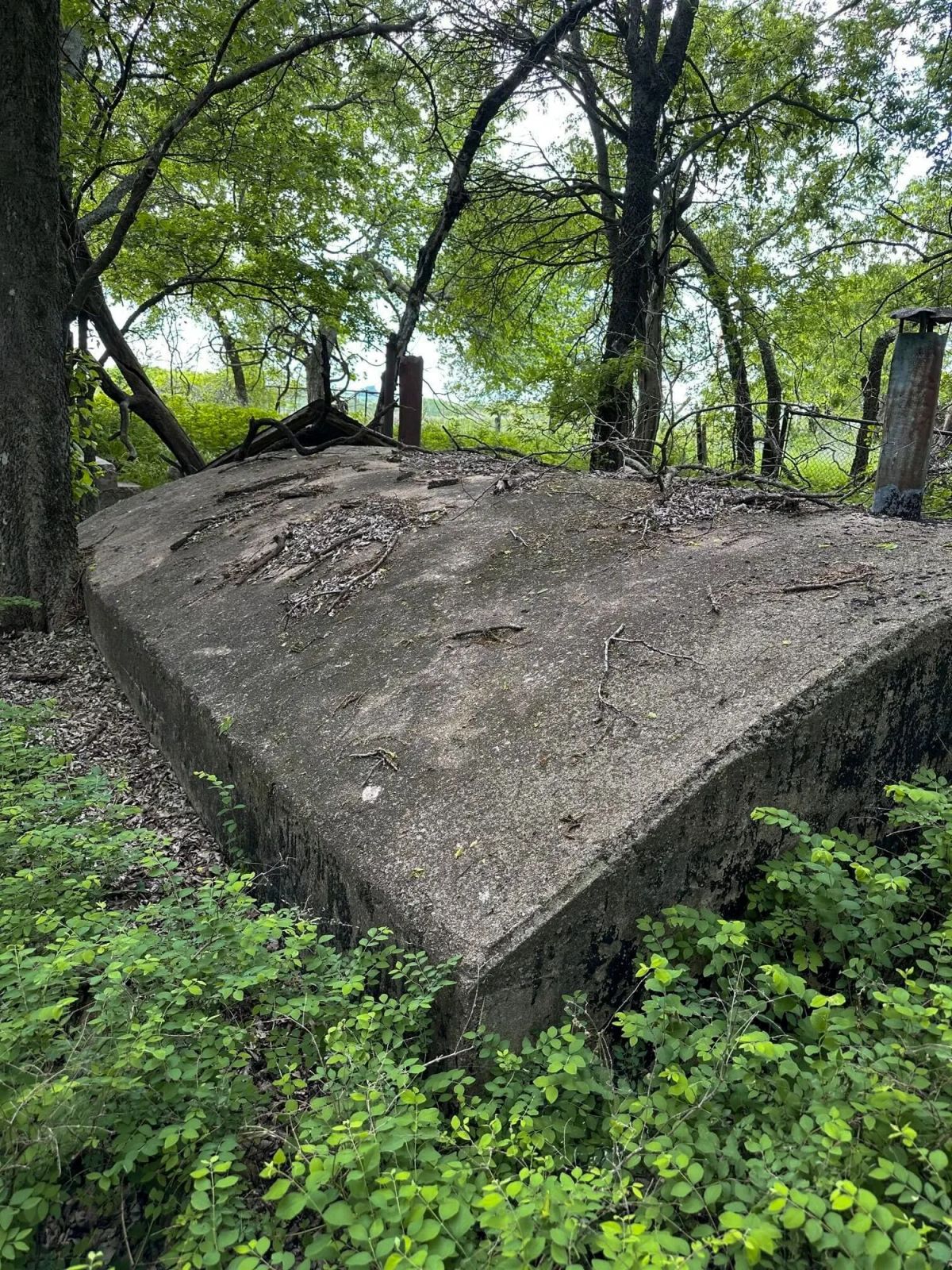 Decorative background for Prairie Grove Tract 3 image 27