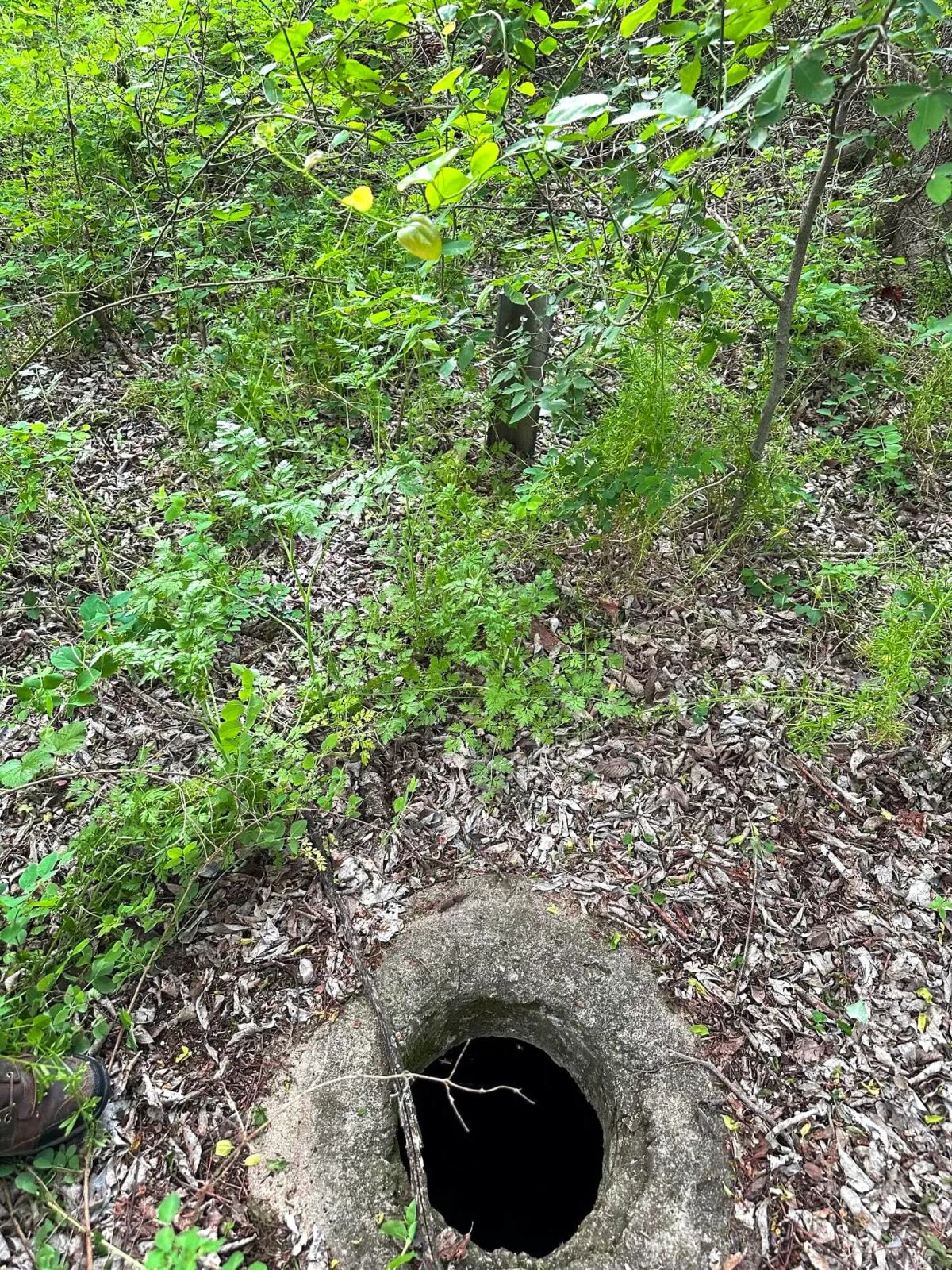 Decorative background for Prairie Grove Tract 3 image 28