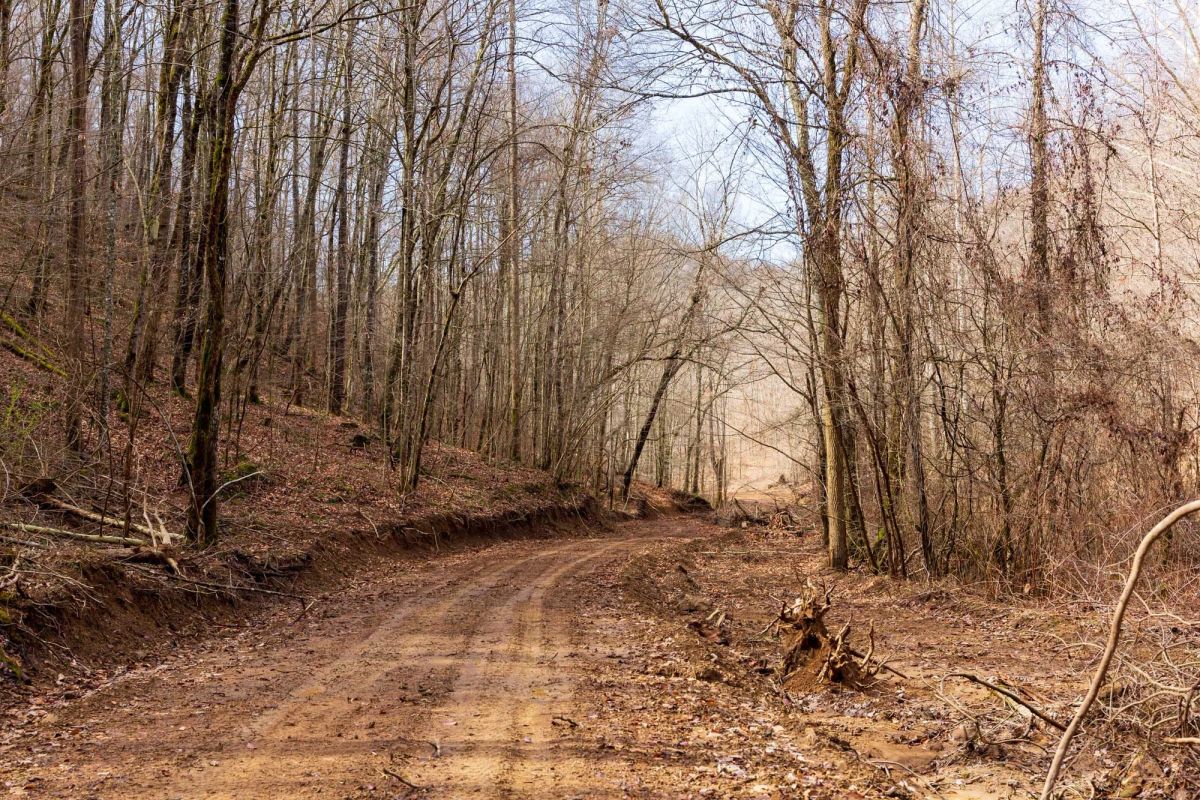 Blackstone Mountain Phase II Tract 72 - Main image