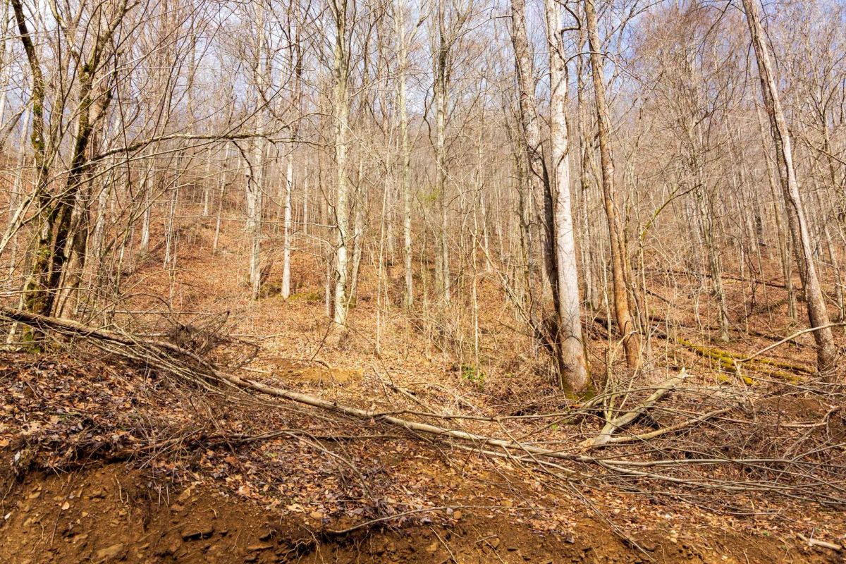 Blackstone Mountain Phase II Tract 72 - Image 3