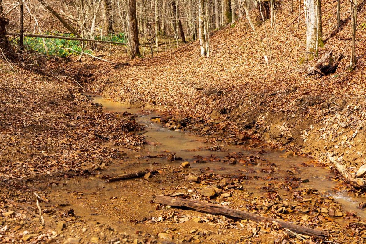 Blackstone Mountain Phase II Tract 72 - Image 4