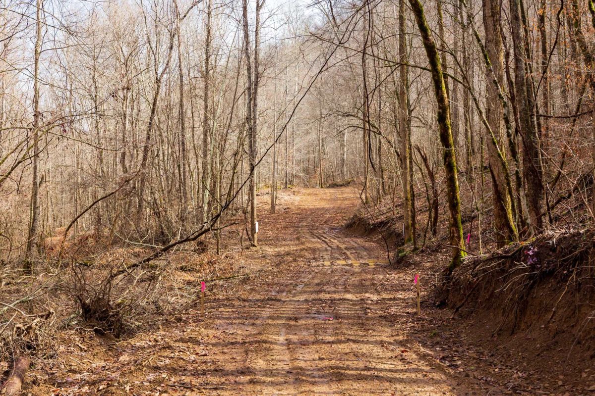 Decorative background for Blackstone Mountain Phase II Tract 72 image 5