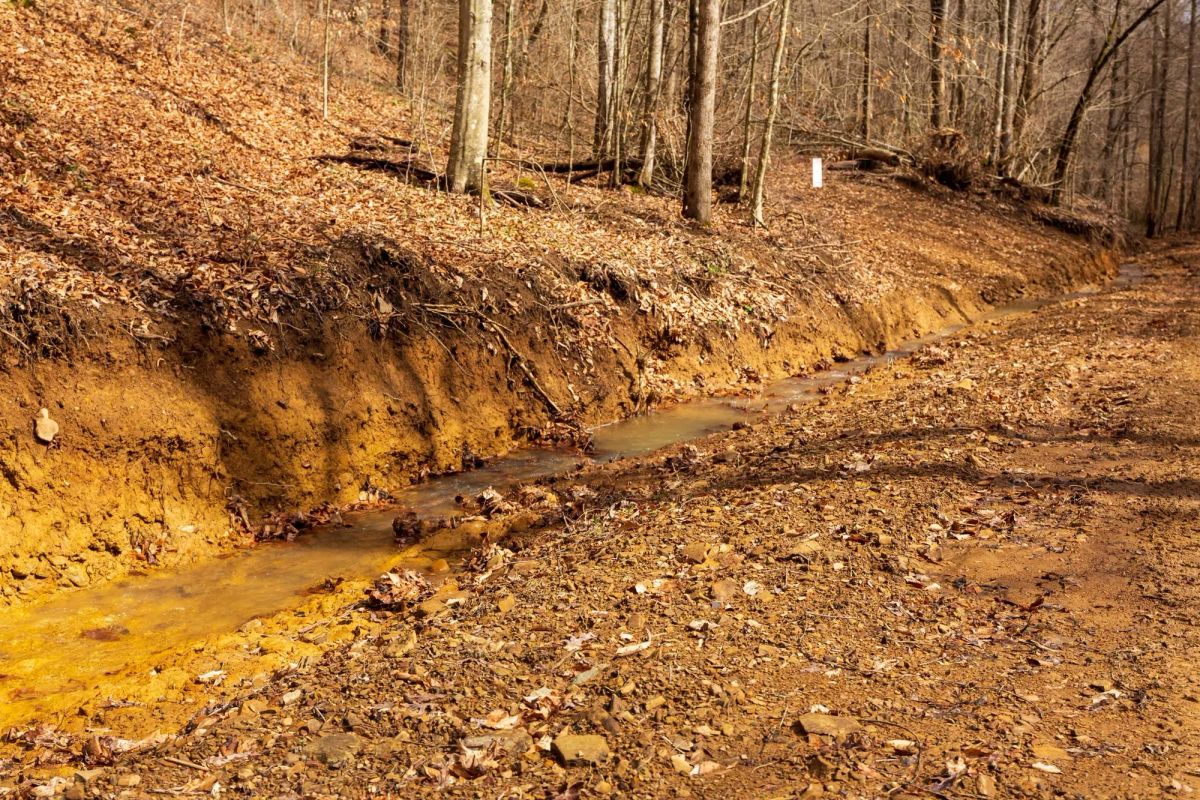 Decorative background for Blackstone Mountain Phase II Tract 72 image 7