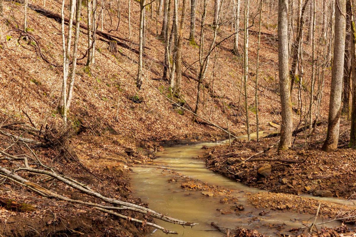 Decorative background for Blackstone Mountain Phase II Tract 72 image 9