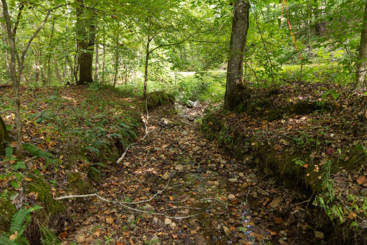 Big White Oak Tract 137 - Image 3