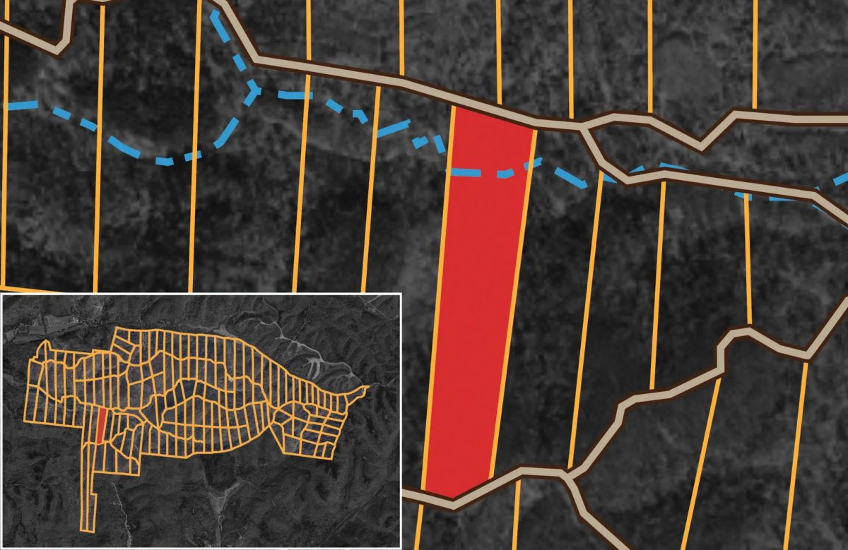 Decorative background for Big White Oak Tract 137 image 12