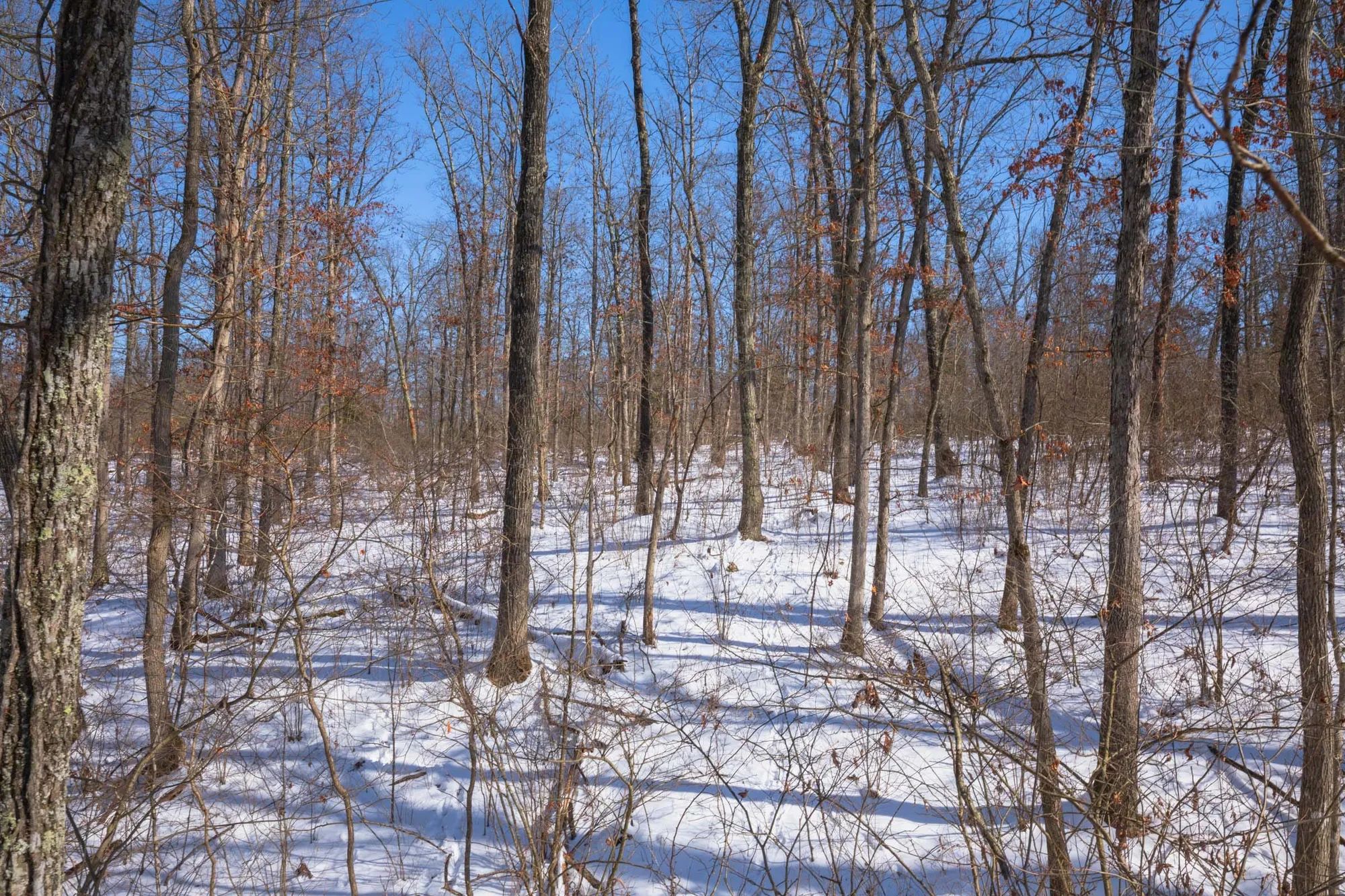 Sleepy Hollow Phase I Tract 47 in Texas County, MO