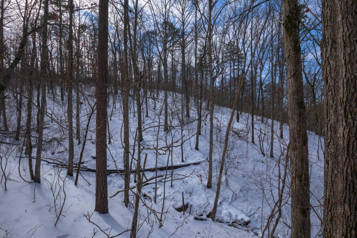 Sleepy Hollow Phase I Tract 47 - Image 3