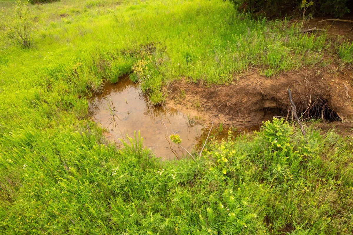 Moonrise Meadows Tract 18 - Image 2