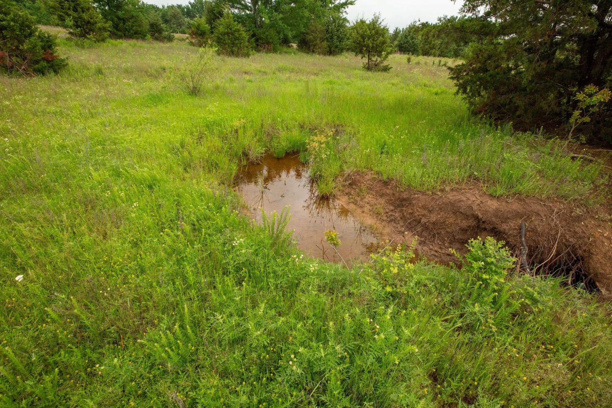 Moonrise Meadows Tract 18 in Okfuskee County, OK