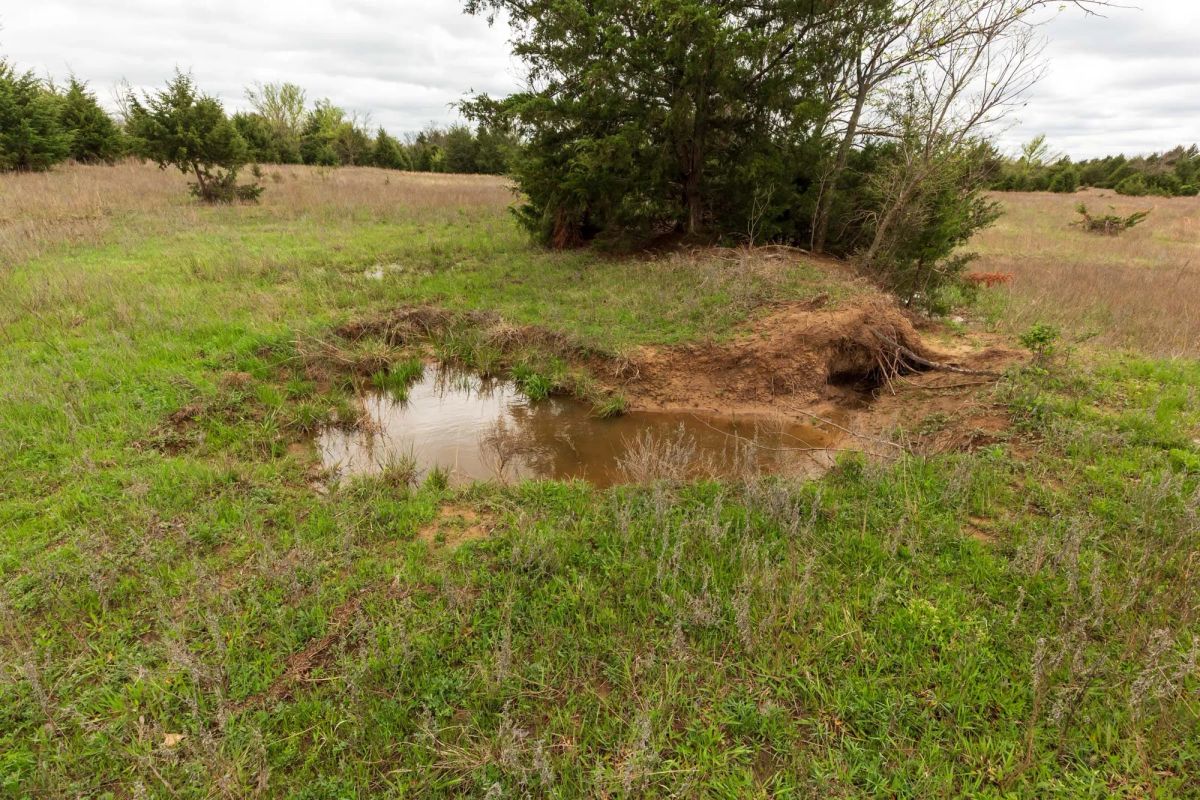 Decorative background for Moonrise Meadows Tract 18 image 5