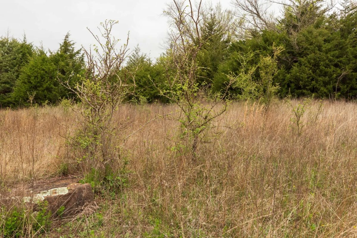 Decorative background for Moonrise Meadows Tract 18 image 6