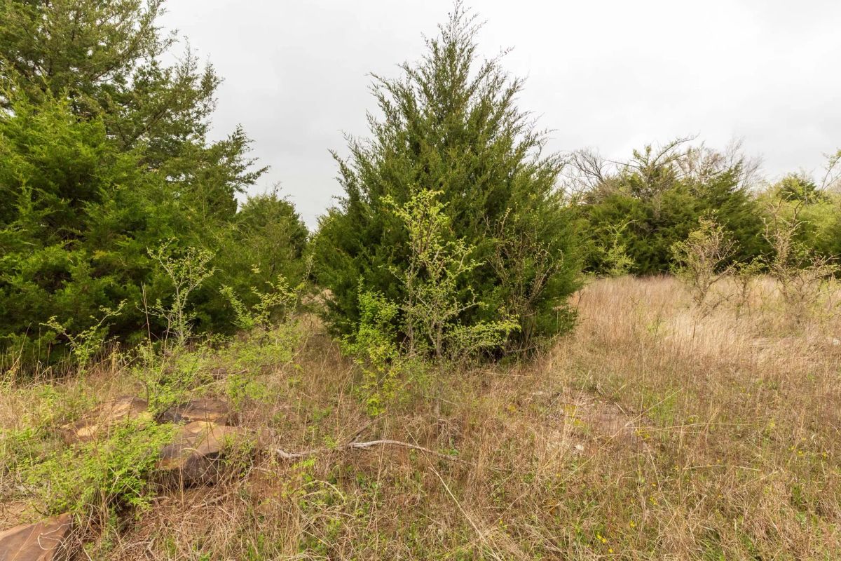 Decorative background for Moonrise Meadows Tract 18 image 7