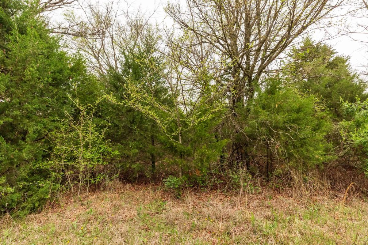 Decorative background for Moonrise Meadows Tract 18 image 10
