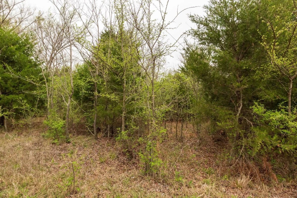 Decorative background for Moonrise Meadows Tract 18 image 13