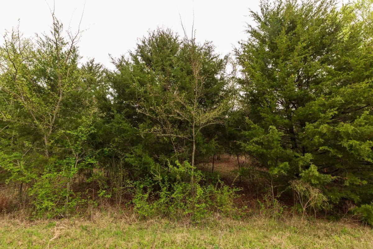 Decorative background for Moonrise Meadows Tract 18 image 14