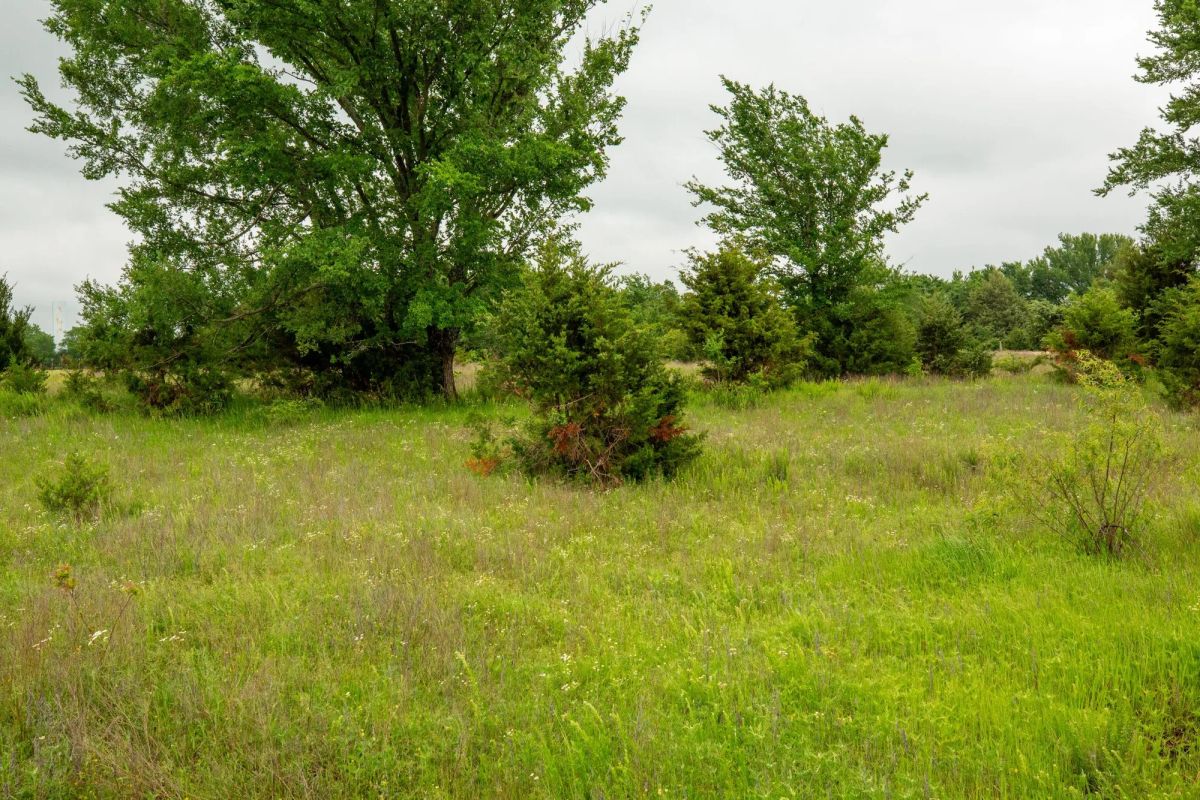 Decorative background for Moonrise Meadows Tract 18 image 23