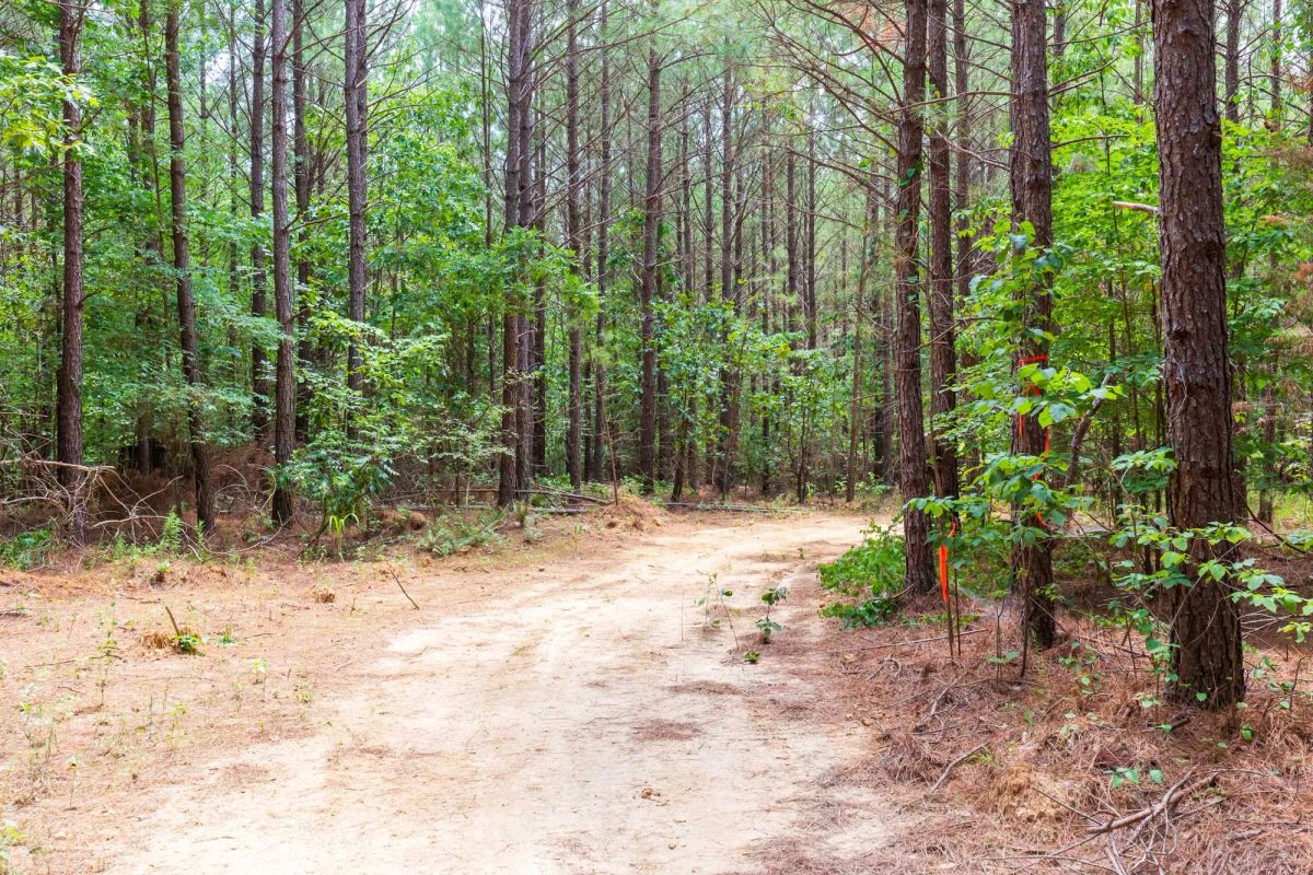 Whiskey Ridge Tract 84 - Main image
