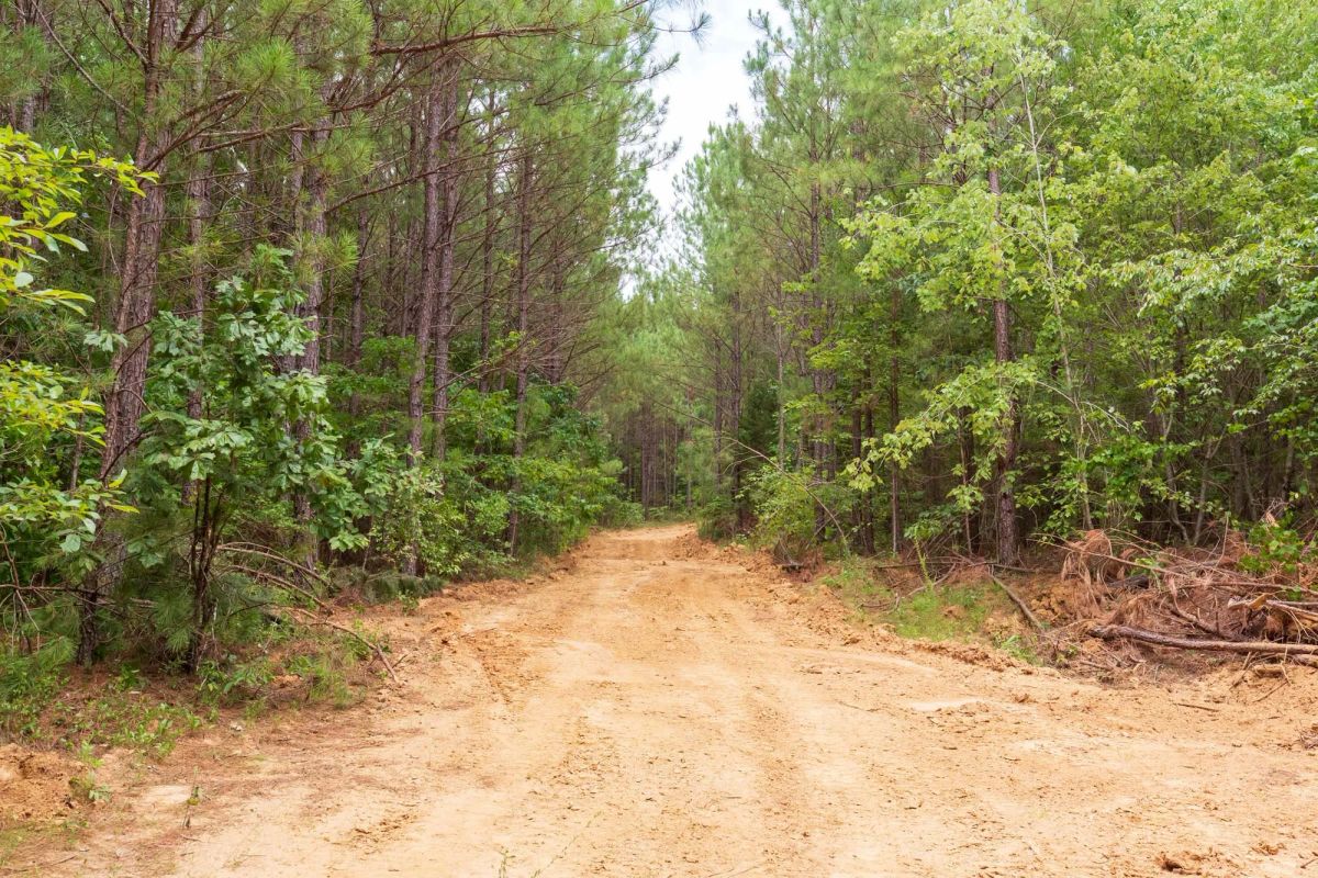 Decorative background for Whiskey Ridge Tract 84 image 10