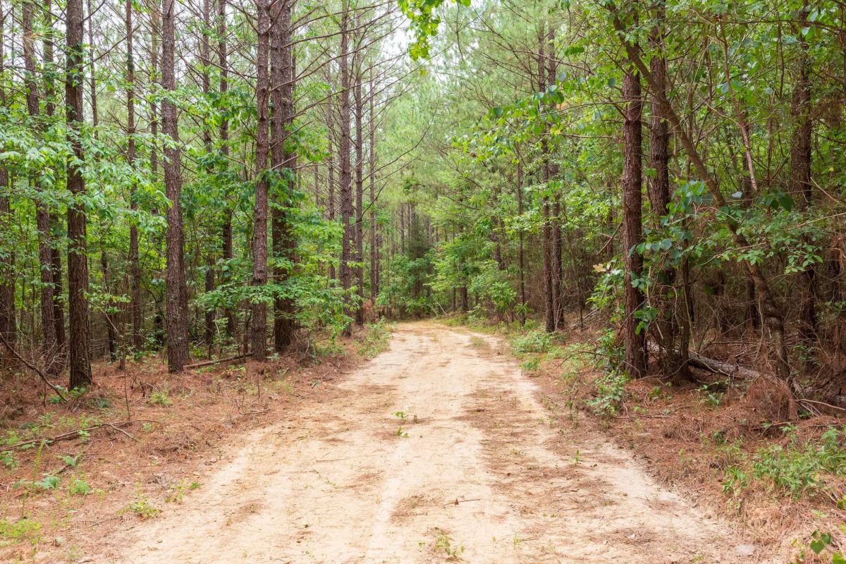 Decorative background for Whiskey Ridge Tract 84 image 11