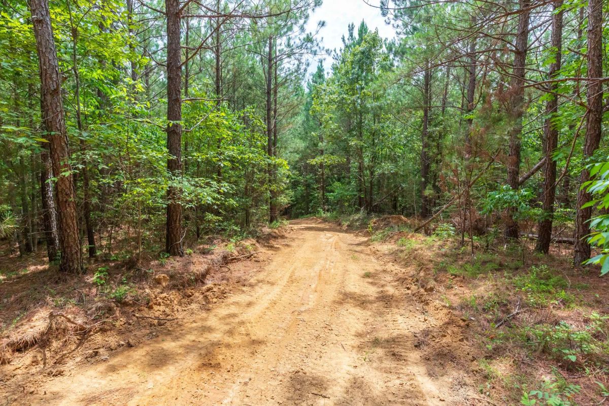 Decorative background for Whiskey Ridge Tract 84 image 19