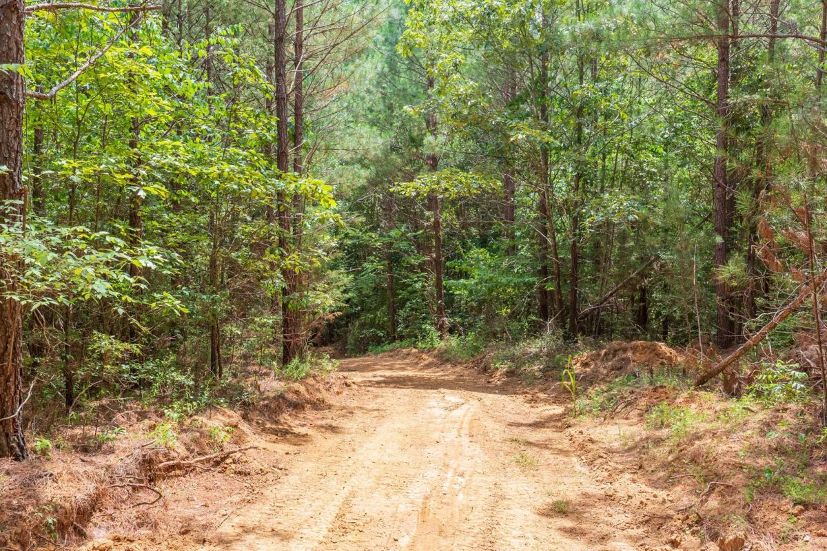 Decorative background for Whiskey Ridge Tract 84 image 20