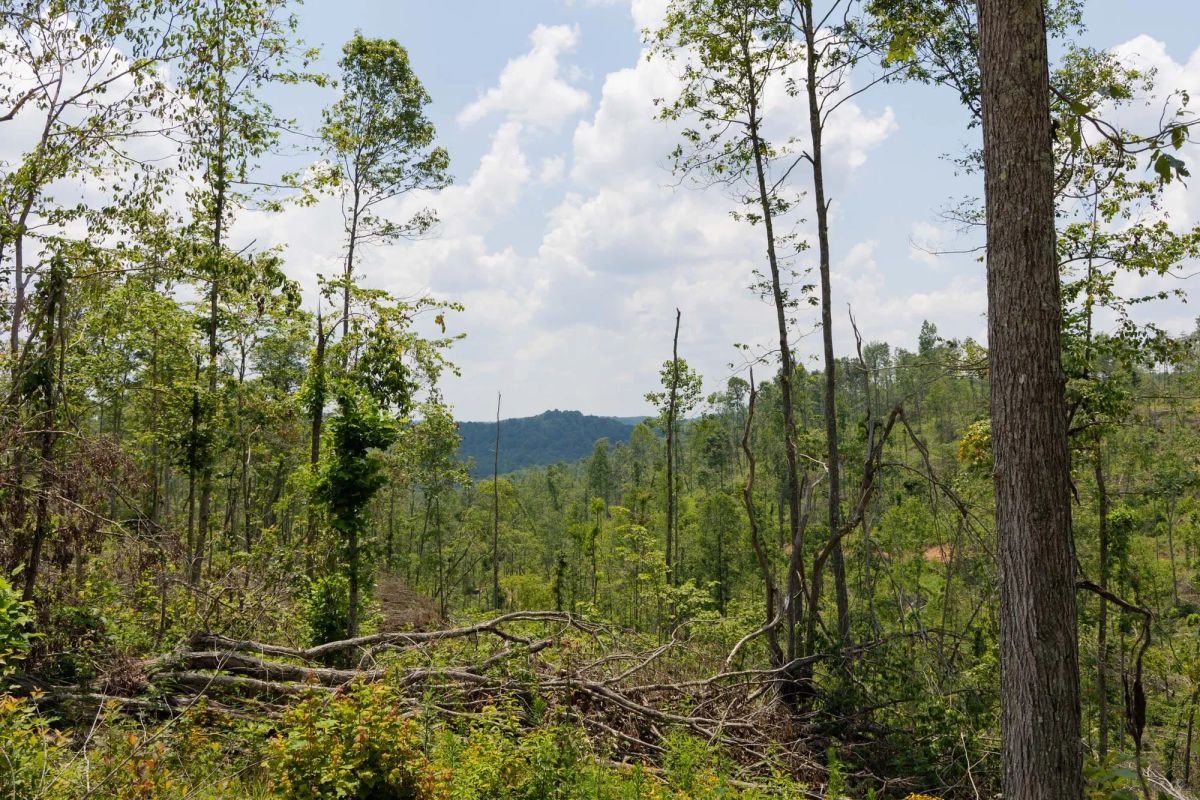 Creek Hollow Phase II Tract 71 - Main image