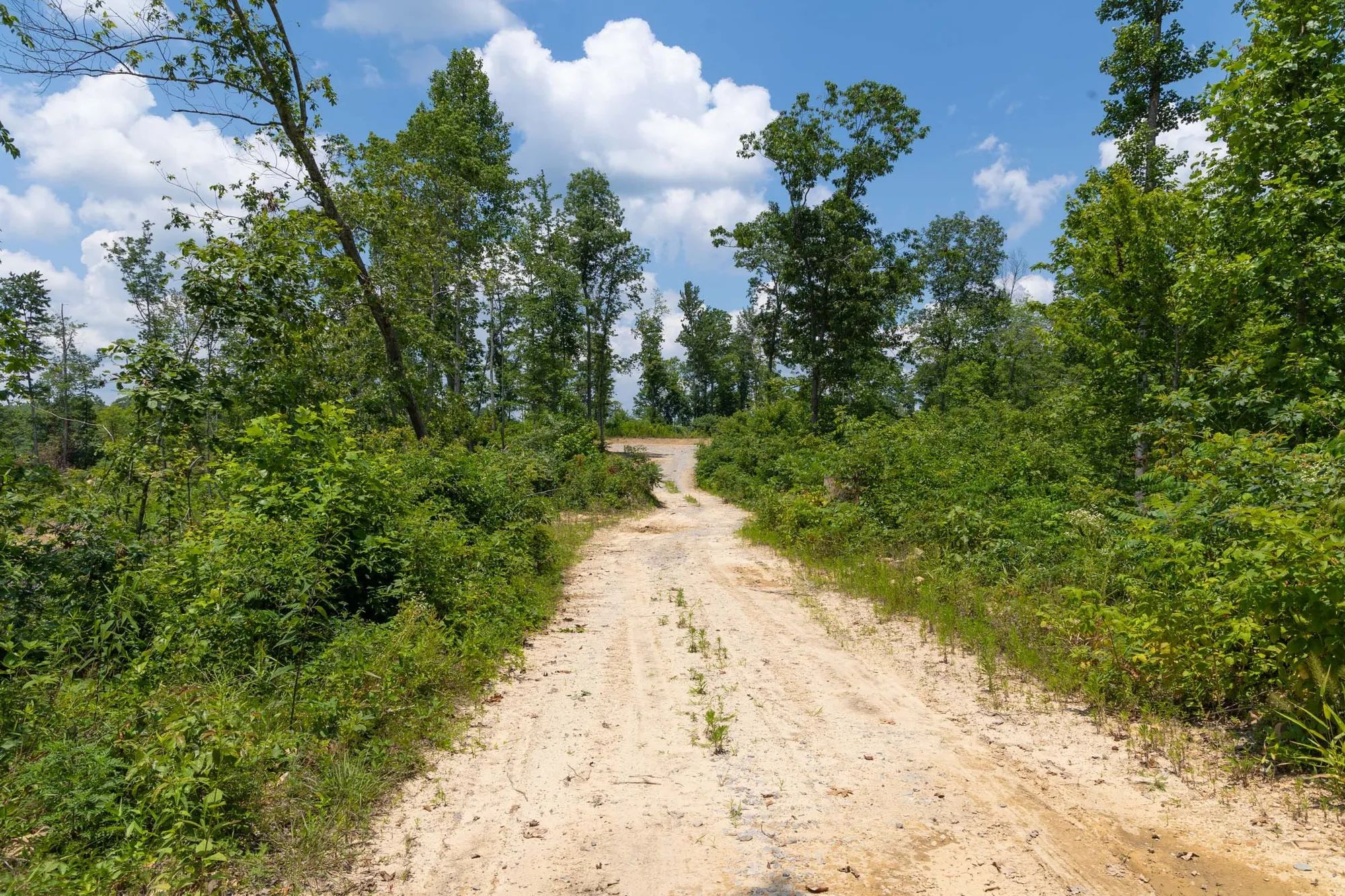 Creek Hollow Phase II Tract 71 in Rockcastle County, KY