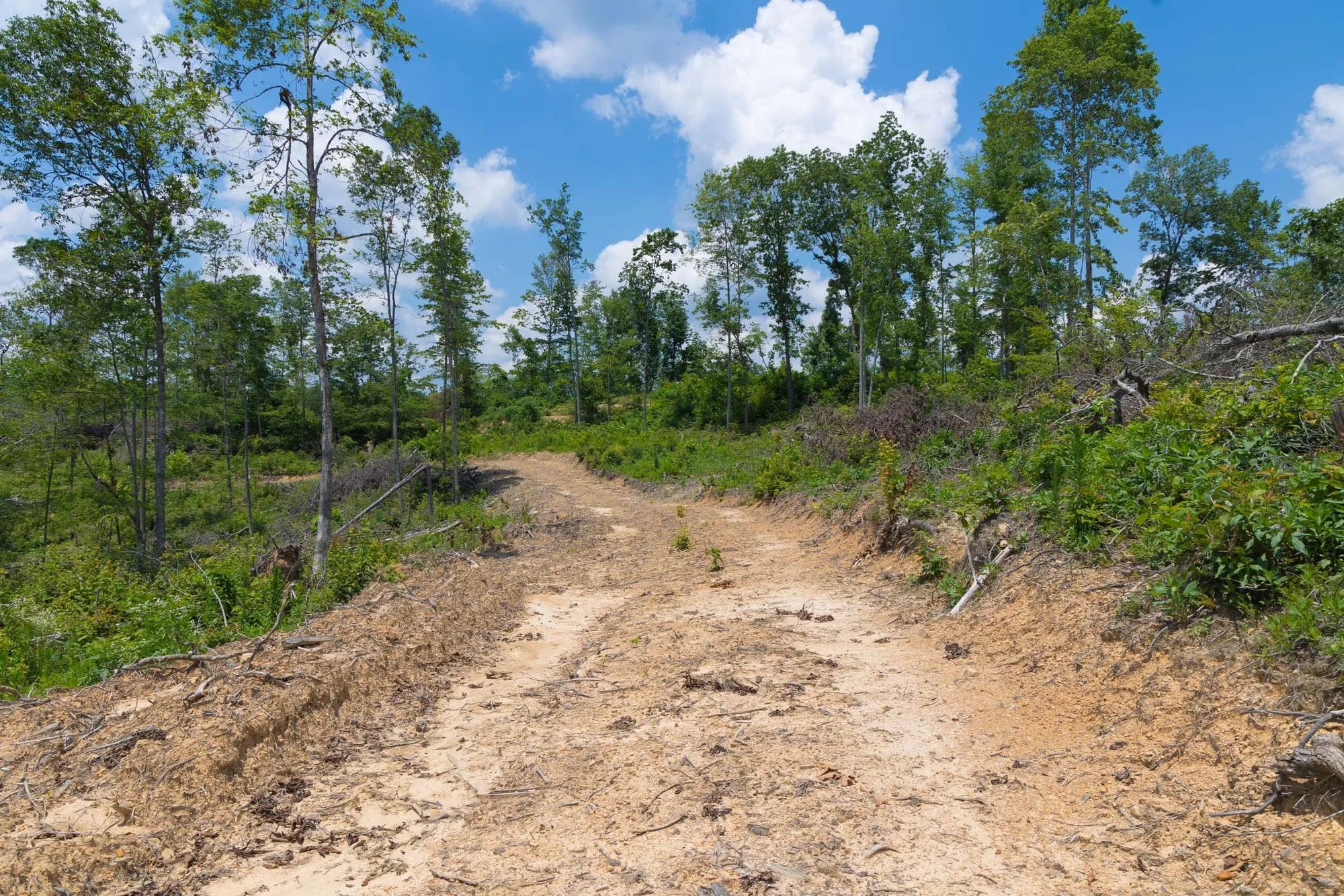 Creek Hollow Phase II Tract 71 in Rockcastle County, KY