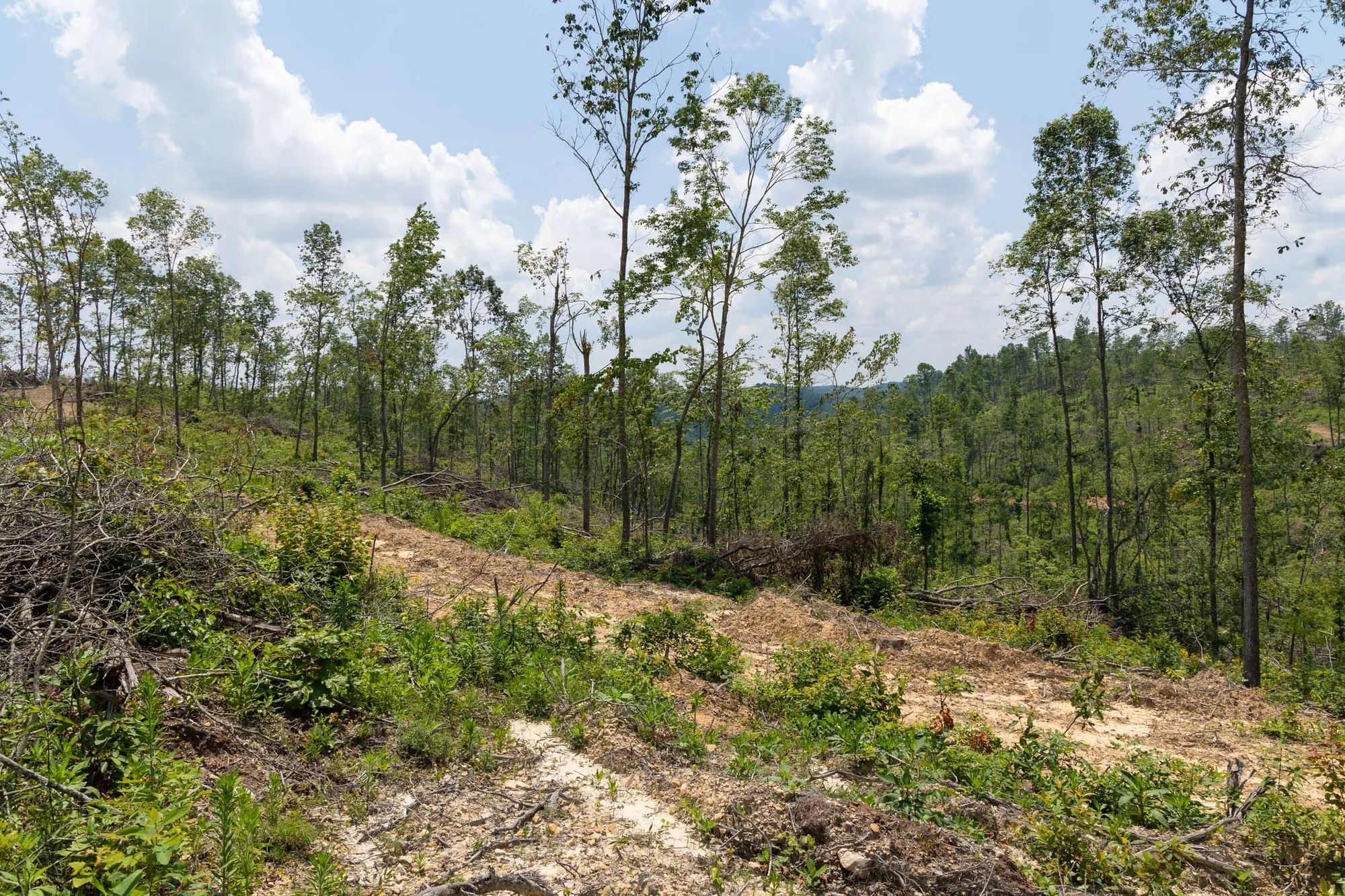 Creek Hollow Phase II Tract 71 in Rockcastle County, KY