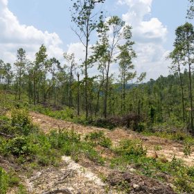 Creek Hollow Phase II Tract 71 in Rockcastle County, KY