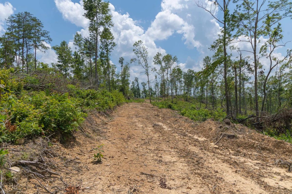 Decorative background for Creek Hollow Phase II Tract 71 image 12