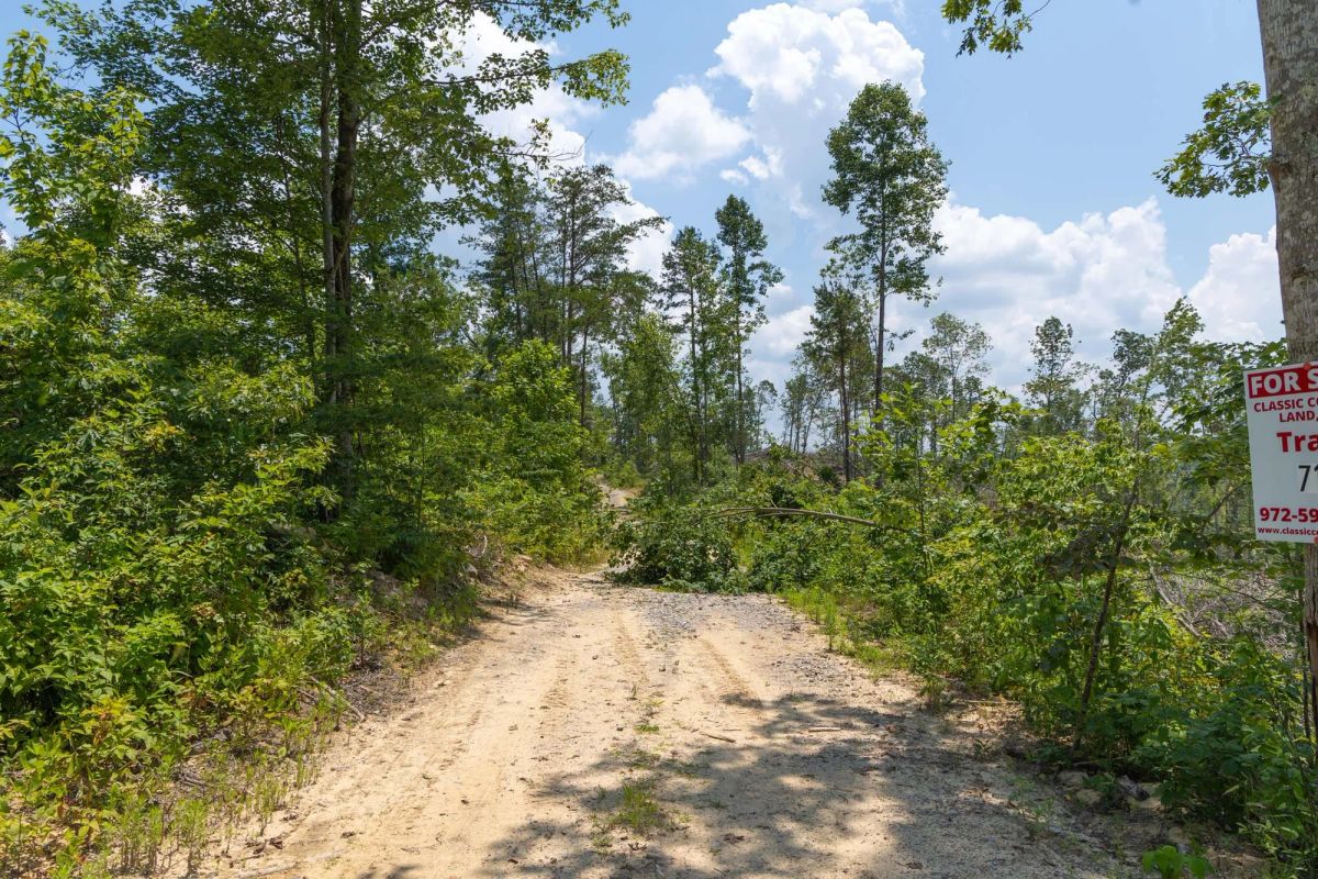 Decorative background for Creek Hollow Phase II Tract 71 image 14