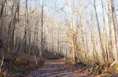 Blackstone Mountain Phase I Tract 9