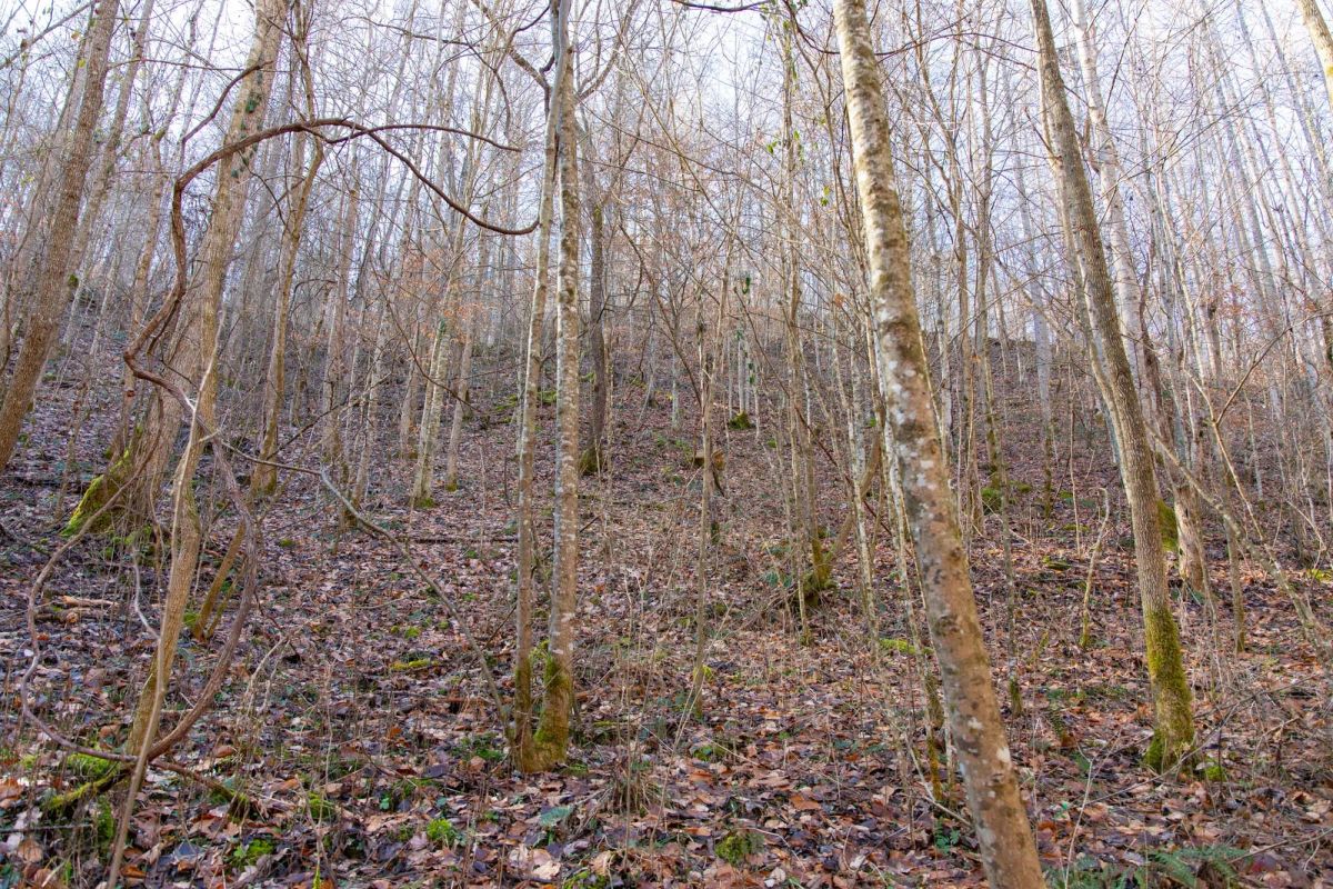 Blackstone Mountain Phase I Tract 9 - Image 3