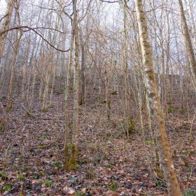 Blackstone Mountain Phase I Tract 9 in Clay County, KY