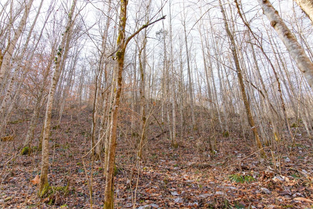 Blackstone Mountain Phase I Tract 9 - Image 4