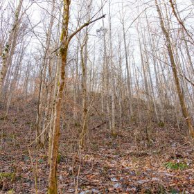 Blackstone Mountain Phase I Tract 9 in Clay County, KY