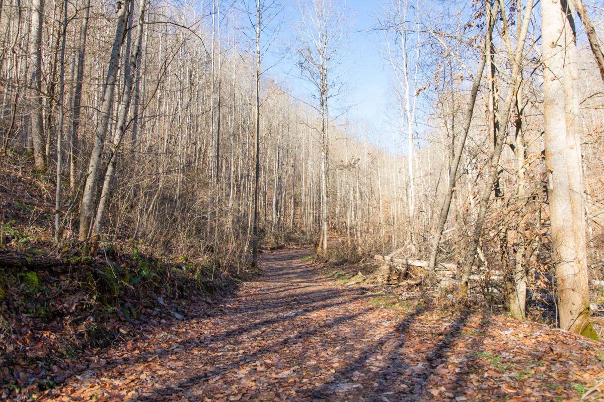 Decorative background for Blackstone Mountain Phase I Tract 9 image 5
