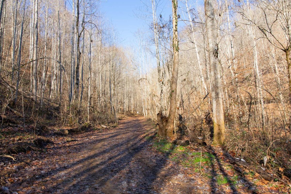Decorative background for Blackstone Mountain Phase I Tract 9 image 8