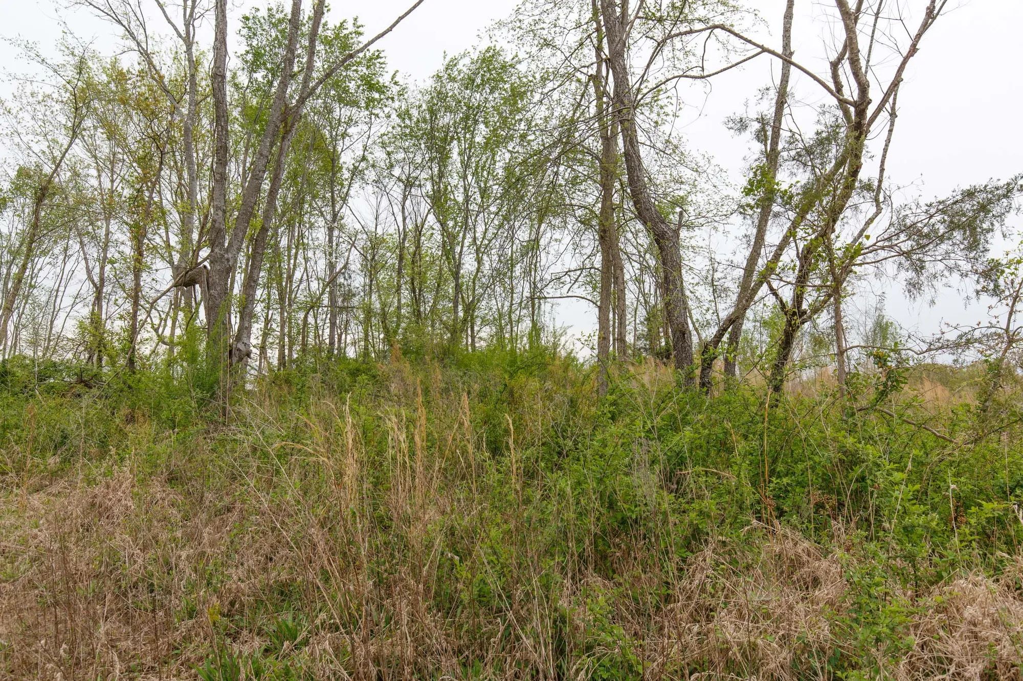 Twin Rivers Tract 23