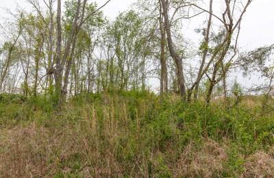 Twin Rivers Tract 23