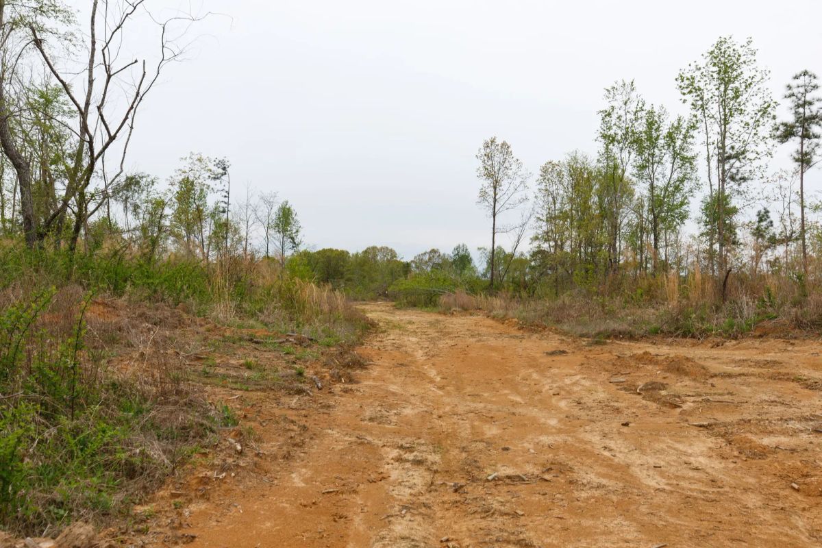Twin Rivers Tract 23 - Image 2